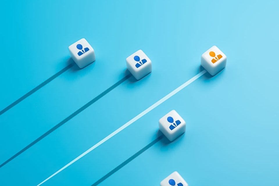 Organisational Psychology into Practice: Shaping Leadership and Workplace Culture